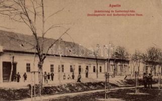Apatin court and the Szeberényi house (EK)