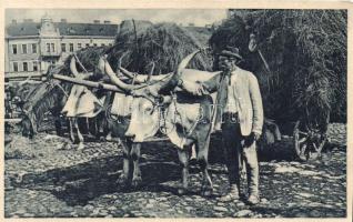 Ungvár fair, Carpathian peasant