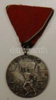 1959. "Tanácsköztársaság emlékérem" kitüntetés mellszalaggal T:2