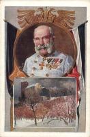 Franz Joseph, Deutscher Schulverein propaganda