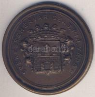 1937. Székesfehérvár Szab. Kir. Város címeres Br egyoldalú emlékérem (d=40mm) T:1-