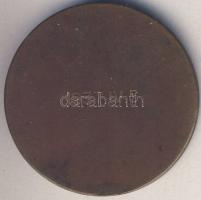 1937. Székesfehérvár Szab. Kir. Város címeres Br egyoldalú emlékérem (d=40mm) T:1-