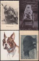 10 db Állat motívumlap, jó minőség / 10 Animal postcards