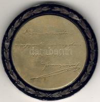 1916 "Ferenc József" nagyalakú, aranyozott bronz/email plakett T:2