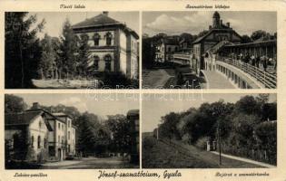 Gyula József szanatórium tiszti lakással és a Lukács-pavilonnal (EB)
