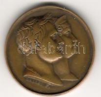 Franciaország 1810 Napoleon és Josephine házassága bronzzseton szign.:Galle. F. T:2/3 RRR!!!