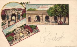 Temesvár fortress litho