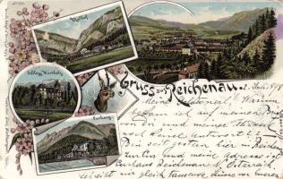 1898 Reichenau litho (cut)