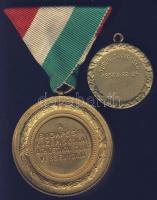 1937. Turul Szövetség medál + DN. Budapesti Középiskolai Athletikai Club irredenta versenydíjérme T:...
