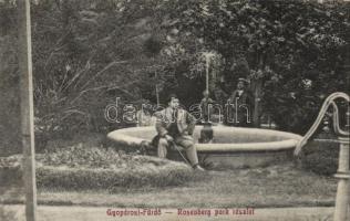 Gyopárosfürdő Rosenberg park (levágott / cut)