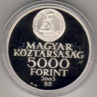 2003 "Rákóczy szabadságharc..." 5000Ft ezüst, díszdobozban T:PP