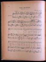 Zeneköltők albuma - operettek szalonpiécek... kuplék gyűjteménye, festett, aranyozott egészvászon kö...