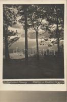 Pozsony from the Haubner hill