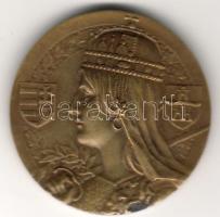 19... M.Kir.Pénzverő látogatási érme, bronz T:1 RRR!!!