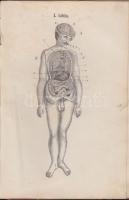 Weiss J.: Az elgyengült férfierő - Tehetetlenség. 67 fametszvénnyel, Bp. 1881 Szerzői kiadás. Korebeli félvászon kötésben 180p.