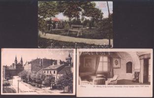 40 db vegyes, régi magyar (Történelmi Mo.) városképes lap jobbakkal, közte egy Máramarossziget panorámalap / 40 mixed Hungarian town-view cards wit rare pieces