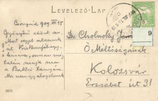 1909 Cholnoky Jenő földrajztudós saját kézzel írt képeslapja feleségének Skandináviai útjára indulóban