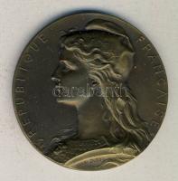 Franciaország 1927. Interparlamentáris unió konferencia Br emlékérem 50mm szign.: Henri Dubois T:2 /...