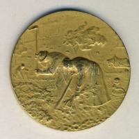 Franciaország DN parasztokat ábrázoló aranyozott Br emlékérem 50mm Szign.:Huguenin