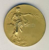Franciaország DN parasztokat ábrázoló aranyozott Br emlékérem 50mm Szign.:Huguenin