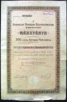 1910. "Debreczeni Hitelbank Részvénytársaság" részvénye 200K-ról, szelvényekkel