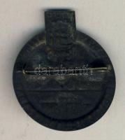 1848-1948. "A Magyar Sportoló Ifjúság Szabadság Ünnepe" kitűző T:2