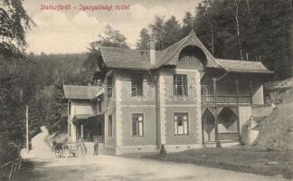 Stószfürdő spa director´s building