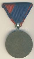1964. Munkásőr Emlékérem mellszalaggal T:2