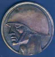 DN "Magyar Néphadsereg" Br emlékplakett díszdobozban T:2