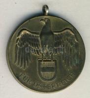 Ausztria 1914-1918. Háborús emlékérem mellszalag nélkül T:2