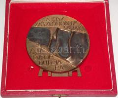 1982. "A KISZ zászlóbontásának XXV. évfordulójára" Br emlékplakett eredeti díszdobozban T:2