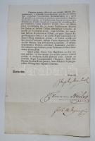 1795 Helytartótanácsi leirat gróf Mailáth József ispán, Mednyánszky János báró, Bécs-hű főúr tanácso...