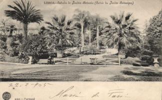 Lisbon botanical garden (EK)