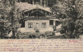 Budapest XII. Svábhegy Schunda V. József nyaraló