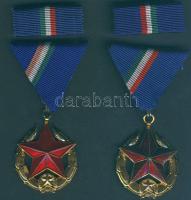 Közbiztonsági Érem arany fokozata a rendőrség tagjai részére, szalagsávval eredeti dísztokban (2x) T:1,2