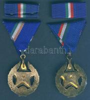 Közbiztonsági Érem arany fokozata a rendőrség tagjai részére, szalagsávval eredeti dísztokban (2x) T...