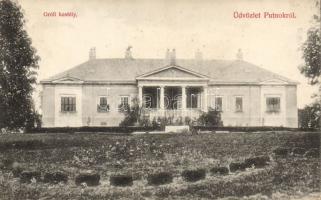 Putnok grófi kastély (levágott / cut)