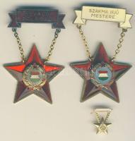 1961. "Kiváló dolgozó" szocialista kitüntetés, eredeti tokban igazolvánnyal + "Szakma Ifjú Mestere" miniatűrrel dísztokban T:1