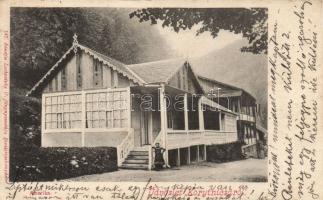 Korytnicza Amerika house