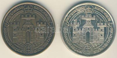 1987. "MÉE Székesfehérvár-Zsigmond" Ag 35,97g és Br emlékérem pár T:PP,BU