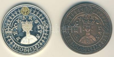 1992. "MÉE Székesfehérvár-Károly Róbert" Ag bicolor 34,24g és Br emlékérem pár T:PP,BU