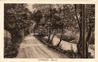 Fenyőháza alley