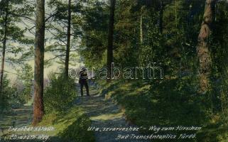 Trencsénteplic-fürdő Erzsébet alley