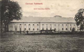 Tallós Esterházy castle