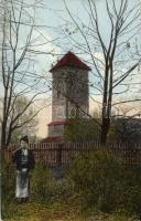 Szászsebes old fortress