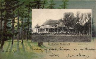 Szatmár kiosk litho