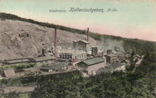 Kaltenleutgeben sawmill