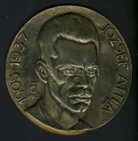 TC 1987 jelzéssel: József Attila bronz plakett / Artist signed bronze plaquette d: 14 cm