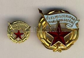 DN "Élelmiszeripar Kiváló Dolgozója" kitüntetés mini kitűzővel díszdobozban