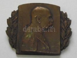 1915. "I.Ferenc József" Br kitűző szign.R.Marschall T:2